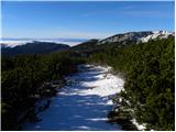 Planina Ravne - Kocbekov dom na Korošici